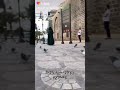 روعة المحبين