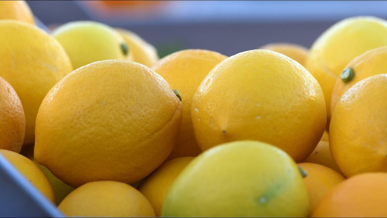 Plodovi zemlje, 15. prosinca 2024.