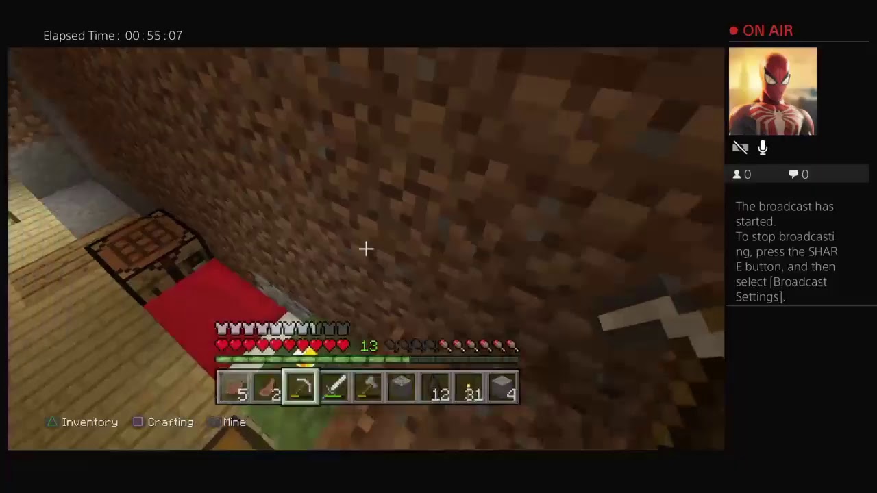 Minecraft survival world part 4