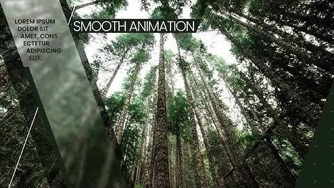 Elegant Slideshow Premiere Pro Templates