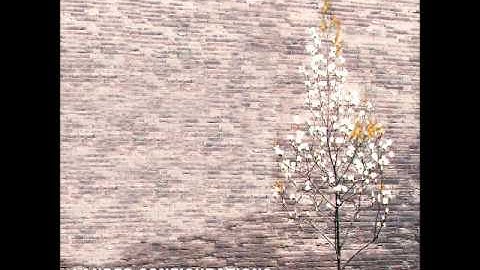 Lander Configurations - Plastic Soldiers