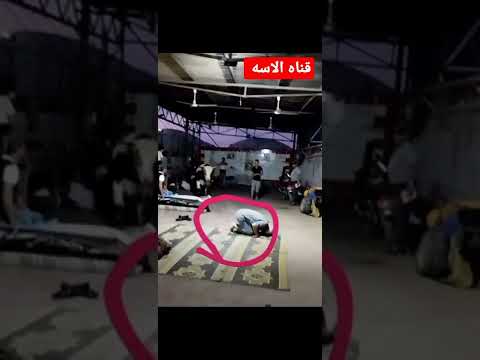 كان بيصلي والجاموسه جريت شوف ايه اللي حصل