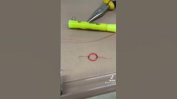 World’s simplest electric motor #science #electric #motor