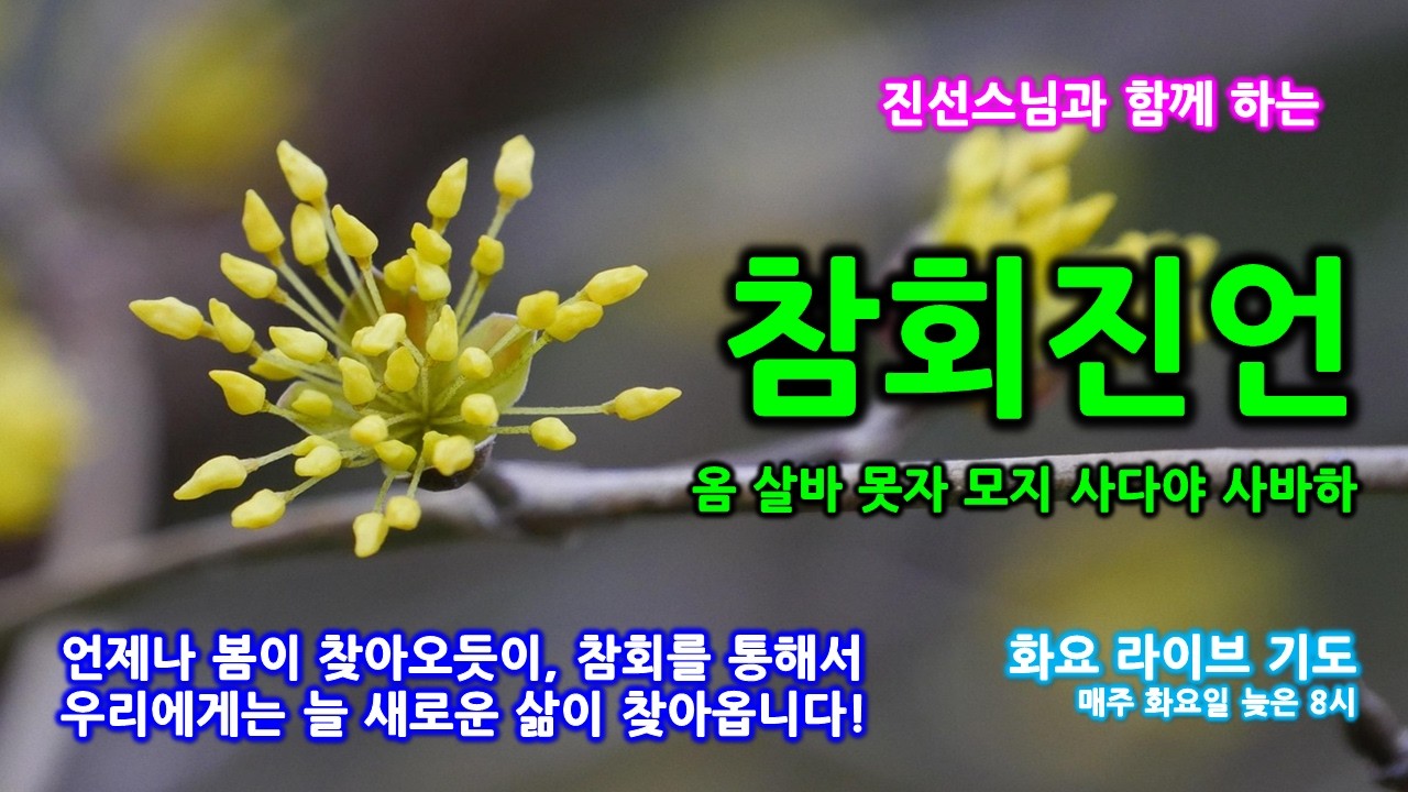 진선스님의 행복도량  (남원 덕음암) 화요 라라이브 2월 마지막을 잘 보내고 싶다면 참회진언으로~(2026/2/24)