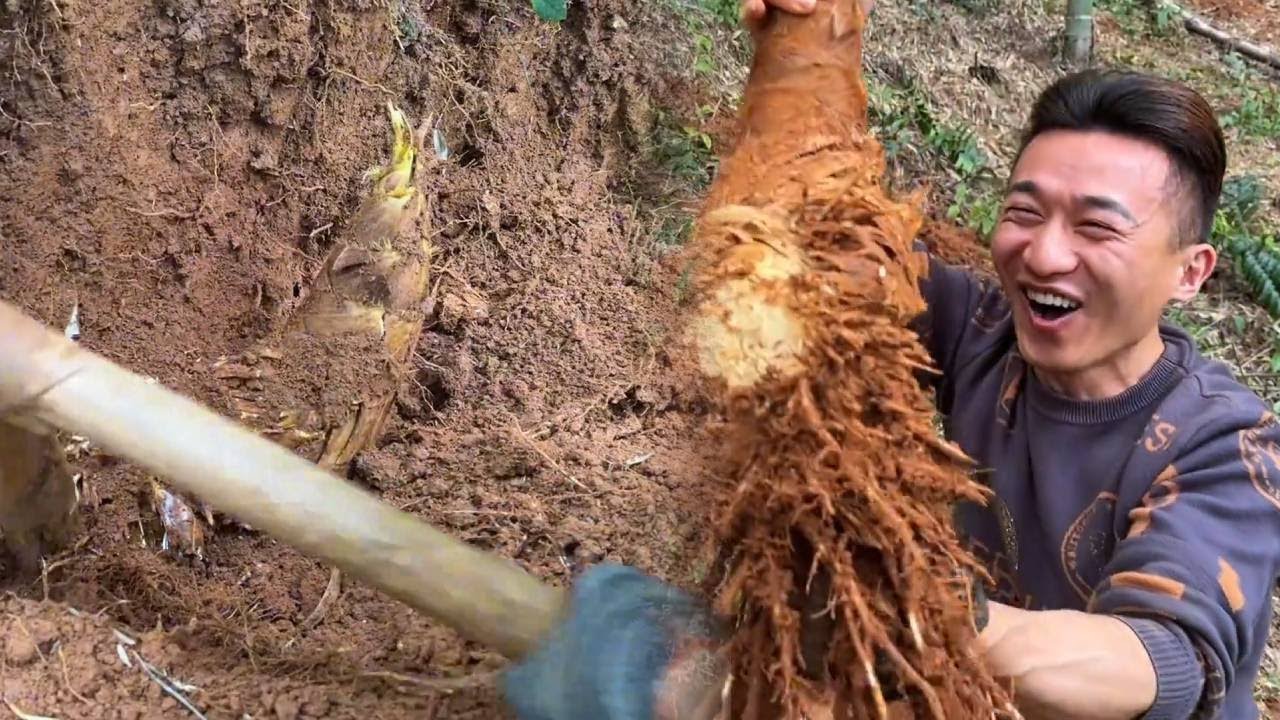 阿峰发现一条超级大裂缝，没想到竟挖出七斤大笋王，太刺激了！#挖笋#农村生活