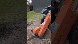 Stump Grinding - Slomo