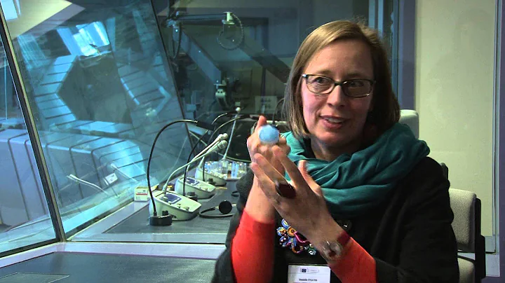 Danielle D'Hayer interviewed about public service interpreting