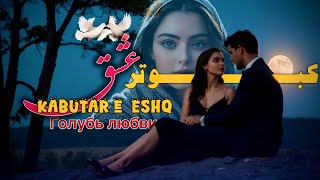 کبوتر عشق Kabotar-E Eshq Голубь Любви