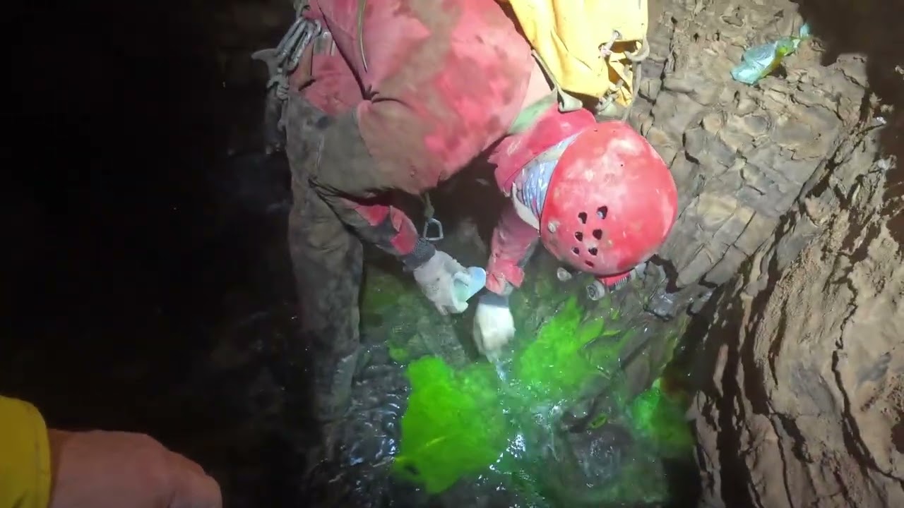 Colorazione a Nueva Vida  ( imm. di repertorio)