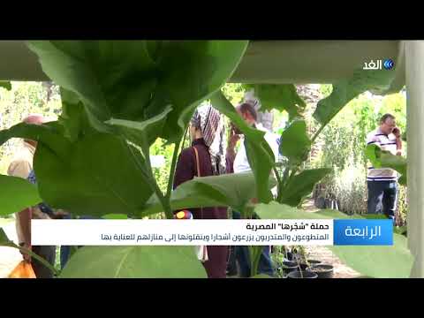 شج رها حملة مصرية لتحويل الصحراء إلى مساحات خضراء مثمرة