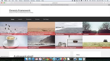 Home Featured Posts in Genesis