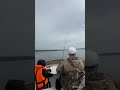 Сибирская природа #shortsvideo#рыбалка