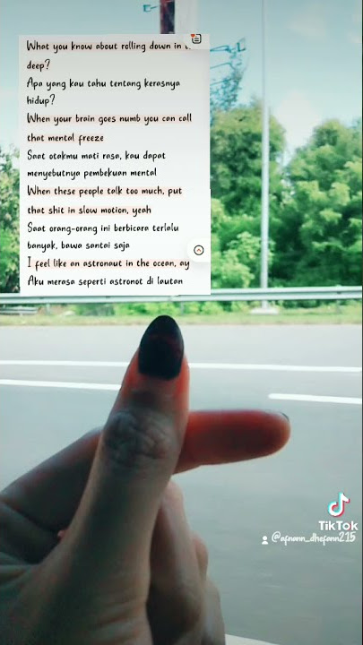 what you know about rolling down in the deep tiktok