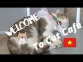 Welcome to Cat Cafe.