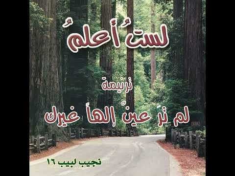 ترنيمة "لم ترَ عين إلهاً غيرك" - المرنم نجيب لبيب