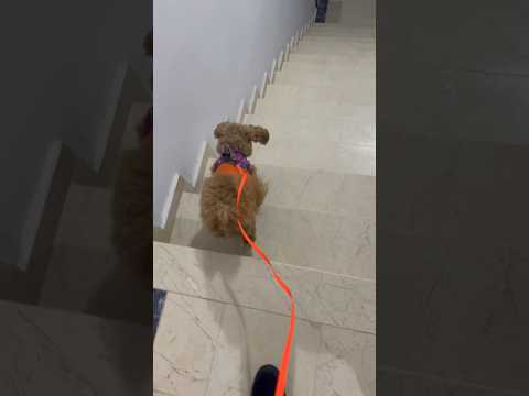 ببخشید من یکاری دارم دیرم شده