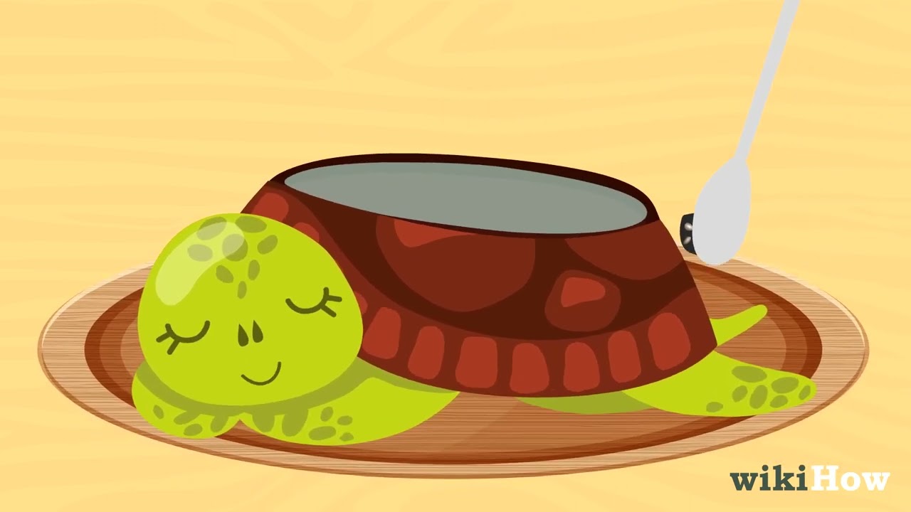 How to Grow a Chia Pet YouTube