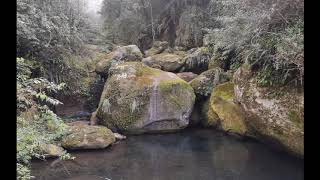 20200212水田林道，油羅溪鴛鴦谷瀑布群
