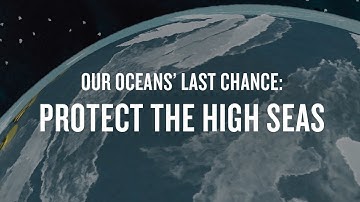 Our Oceans’ Last Chance: Protect the High Seas