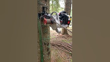 DOCMA VF105 Red Iron Portable Forestry Winch   Load big logs on the sawmill