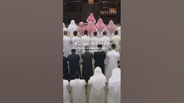 سورة الفيل بصوت الشيخ انس العمادي