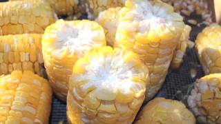 how to use extra garden sweet corn