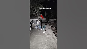 pov: Horror vs man #ghost #music #bhoot #trending #new #scary #horror #dangerous