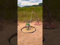 modern traps for catching parrot #comedy #funny #birds