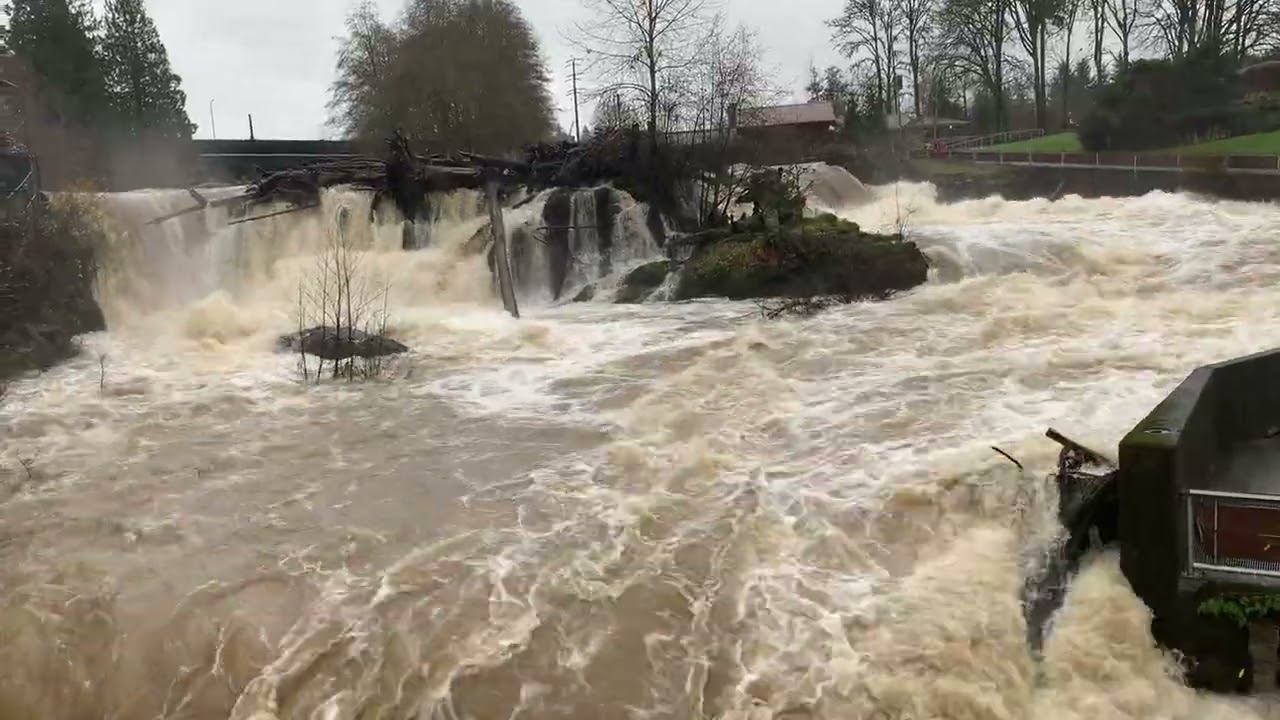 Brewery Park Tumwater Falls High water 12/10/25
