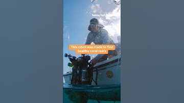 This robot was made to find healthy coral reefs #shorts #robot #coralreef