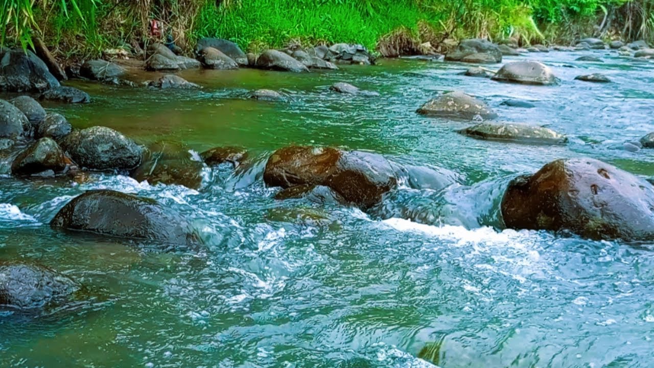 Relaxing Sound of Beautiful Flowing River Water Calms the Mind, Deep Sleep, Meditation