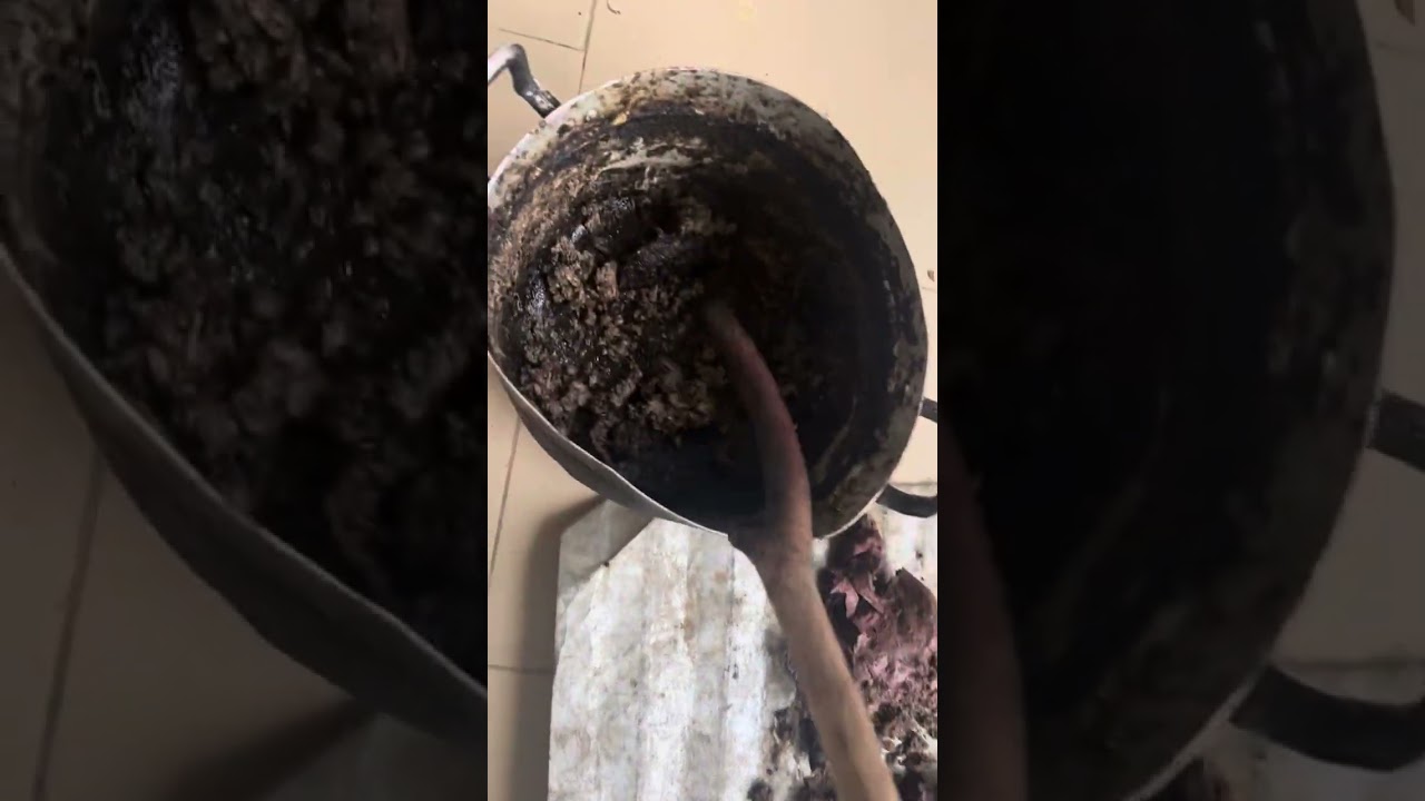 How to prepare blood meal part (2)