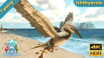 ARK Survival Ascended : Tame a Ichthyornis