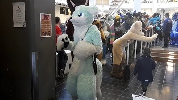 Nordic FuzzCon 2019 fursuit parade