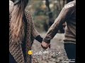 شفان بروار من بيري تاكريا