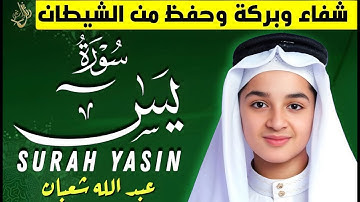 سورة يس (كاملة) - جديد و حصري القارئ عبد الله شعبان - Surah Yasin by Abdullah Shaaban