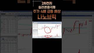 테슬라 납품으로 주가 4배 상승 노리는 #나노브릭