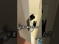 先生の家に突撃したら何故か服着てなくて草www