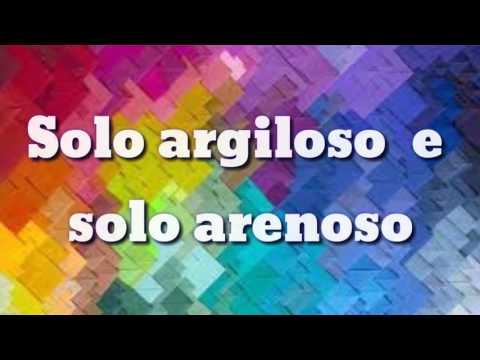 Aula prática - tipos de solos (argiloso e arenoso)