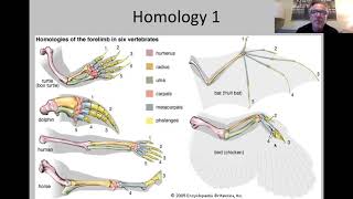 B2-3 Evolutionary Trees
