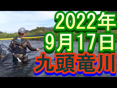 鮎釣り 谷口 鳴鹿の堰堤下 九頭竜川 2022年 - YouTube