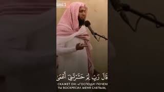 ОТВЛЕКИСЬ И ПОСЛУШАЙ