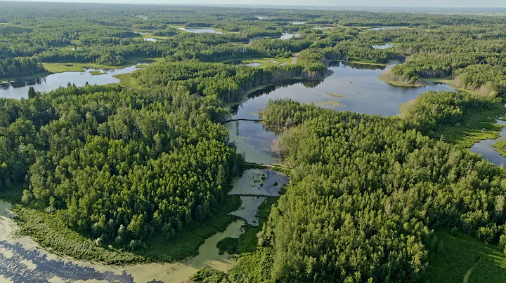 Beaver Hills Biosphere: Elk Island National Park Wetlands