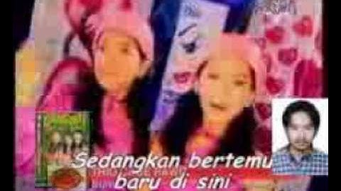 cabe rawit