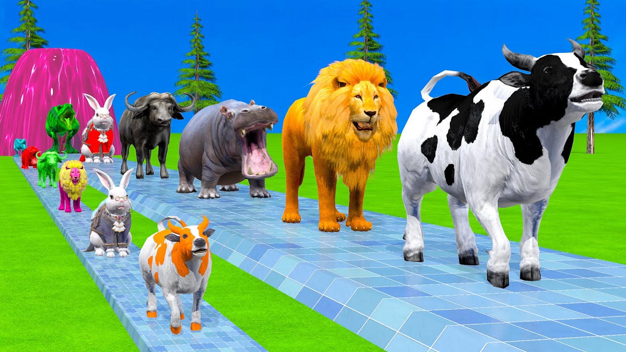 Long Slide Game With Cow Elephant Gorilla Hippopotamus Tiger - 3d Animal Game - Funny 3d Animals