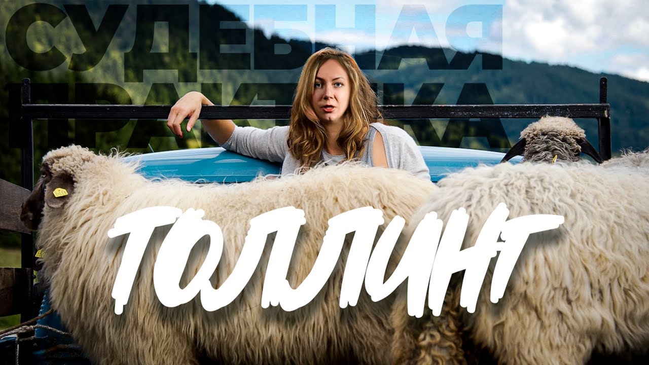 Корова-толлинг-масло и 6 млн налогов - YouTube