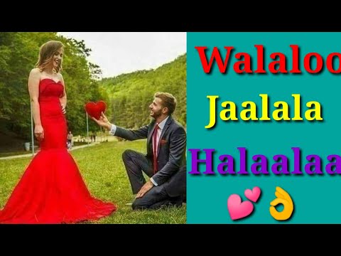 Walaloo Jaalala Halaalaa