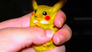 When Pokemon Characters Are Caught In Real Life by The Genius Lemon 3,769 views 1 year ago 32 minutes