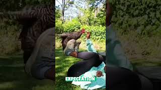 Hilarious Pet Expectations vs Reality