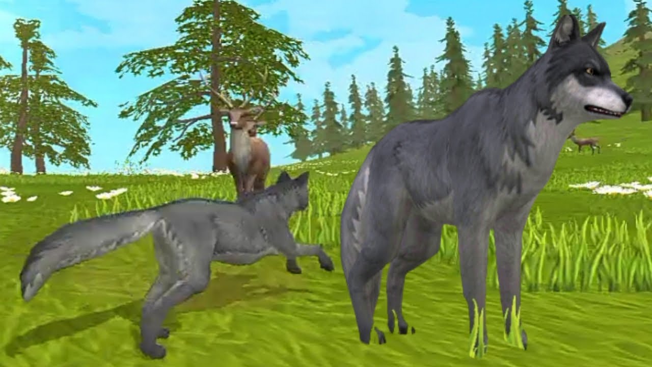 WildCraft Animal Sim 3D🐺🐾Silly games studio 🐭🐰🦌🎁 - YouTube